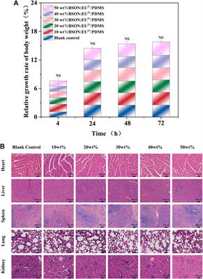 Biosafety evaluation of BaSi2O2N2:Eu2+/PDMS composite elastomers